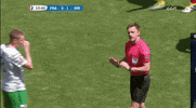 sorry euro 2016 GIF by Sporza