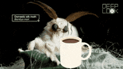 GIF by KQEDScience