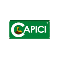 Capici Sticker by Grupo Apane