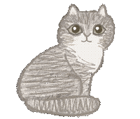 Cat ねこ Sticker