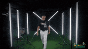 Tulane Rollwave GIF by GreenWave