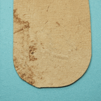 GIF by Julie Smith Schneider
