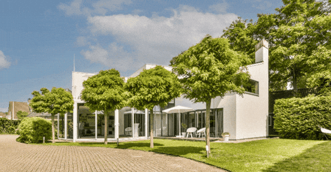 khaldountabari giphygifmaker giphyattribution GIF