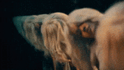 Taika Waititi Dancing GIF by Rita Ora