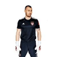 Spartak Trnava Sticker by Fortuna Liga