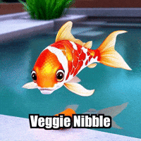 Koi Fish Healthy Food GIF by TheConfishius