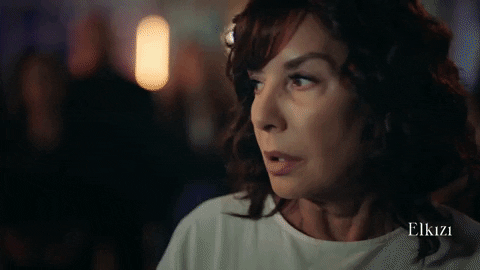 Sevda Erginci Fox GIF by Tüplü Televizyon