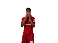 Bayer 04 Love Sticker by Bayer 04 Leverkusen