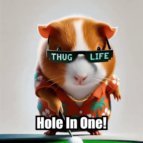 Guinea Pig Golf GIF by Guinea Gambino