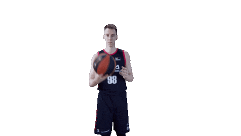 Liga Endesa Spinning Sticker by ACB
