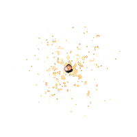 Ayoung Sticker by Instagram Tag In Virtual GIF Booth
