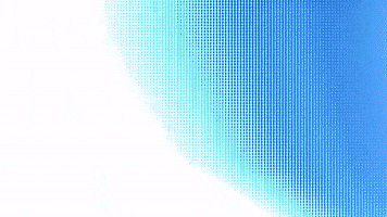 Basketball Champions League Bandera GIF by San Pablo Burgos
