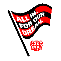 Bayer 04 Football Sticker by Bayer 04 Leverkusen