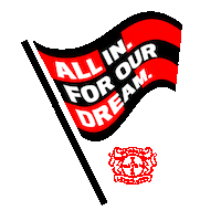 Bayer 04 Football Sticker by Bayer 04 Leverkusen