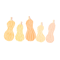 Pumpkin Pie Fall Sticker by True Food Kitchen