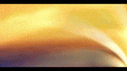 Stella GIF by Winx Club