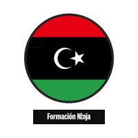 Libya Flag Sticker by Formación Ninja