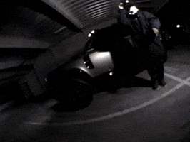 Wolf Bass GIF by IDK