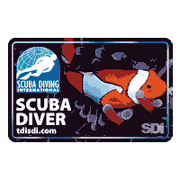 Scuba Diver Sdidivers Sticker by Scuba Diving International