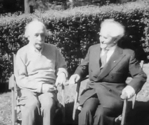 albert einstein GIF
