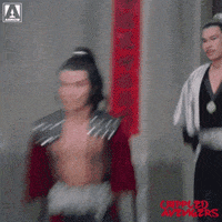 Martial Arts Reaction GIF by Arrow Video