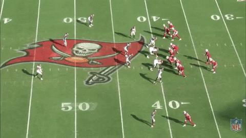 TJenkinsMedia giphyupload cardinals bucs jamel dean GIF