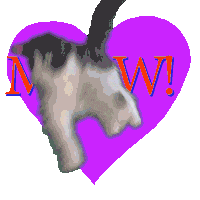 Happy I Love You Sticker by Spaghetti