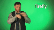 sign language firefly GIF by Sign with Robert