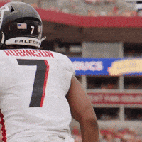 Celebrate Dirty Dancing GIF by Atlanta Falcons