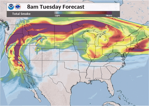 Nws GIF by GIPHY News