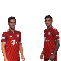 fcbayerncampus football soccer fussball fcb Sticker