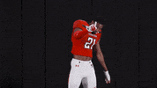 Texas Tech Red Raiders Football Reaction Pack GIF by Texas Tech Football