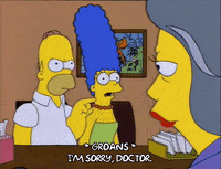 homer simpson dr. zweig GIF