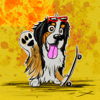 Skating Mountain Dog GIF