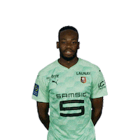 Come On Yes Sticker by Stade Rennais F.C.