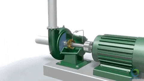 Lagersmit giphygifmaker giphyattribution seal pump GIF