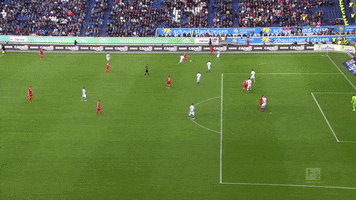 1 fc cologne football GIF by 1. FC Köln