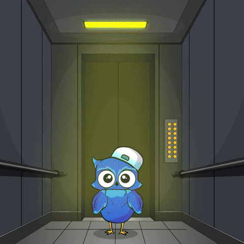 BigBrainTwin Elevator Ride