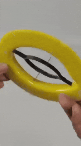 Bestingly giphyupload GIF