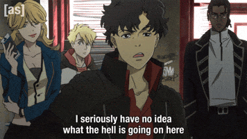 Confused Cowboy Bebop GIF by Adult Swim