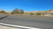 classic cars cruising GIF by Off The Jacks
