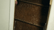 Wait What Josh GIF by Film Riot