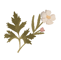 SilverPartyPants illustration nature flower spring Sticker