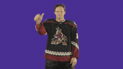 Nhl No GIF by Arizona Coyotes
