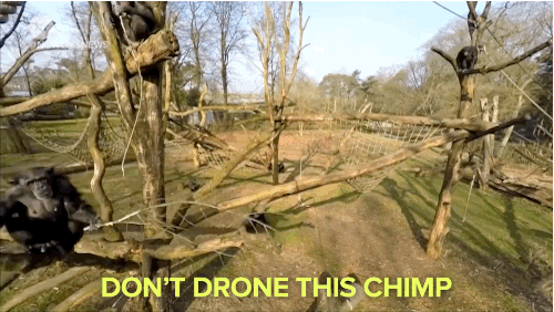 news drones GIF by NowThis 