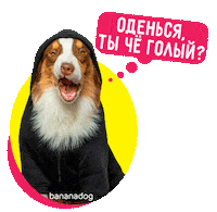 Dog Dogwear Sticker by BANANADOG