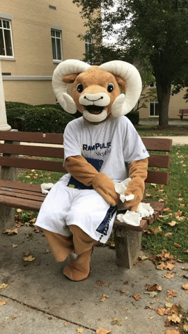 studentssu  GIF