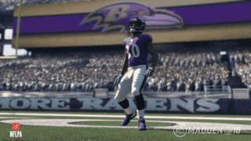 Happy National Football League GIF by Baltimore Ravens
