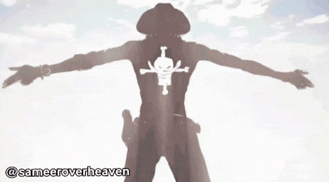 One Piece Ace GIF
