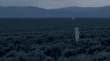 meowwolf new mexico nm meow wolf taos GIF